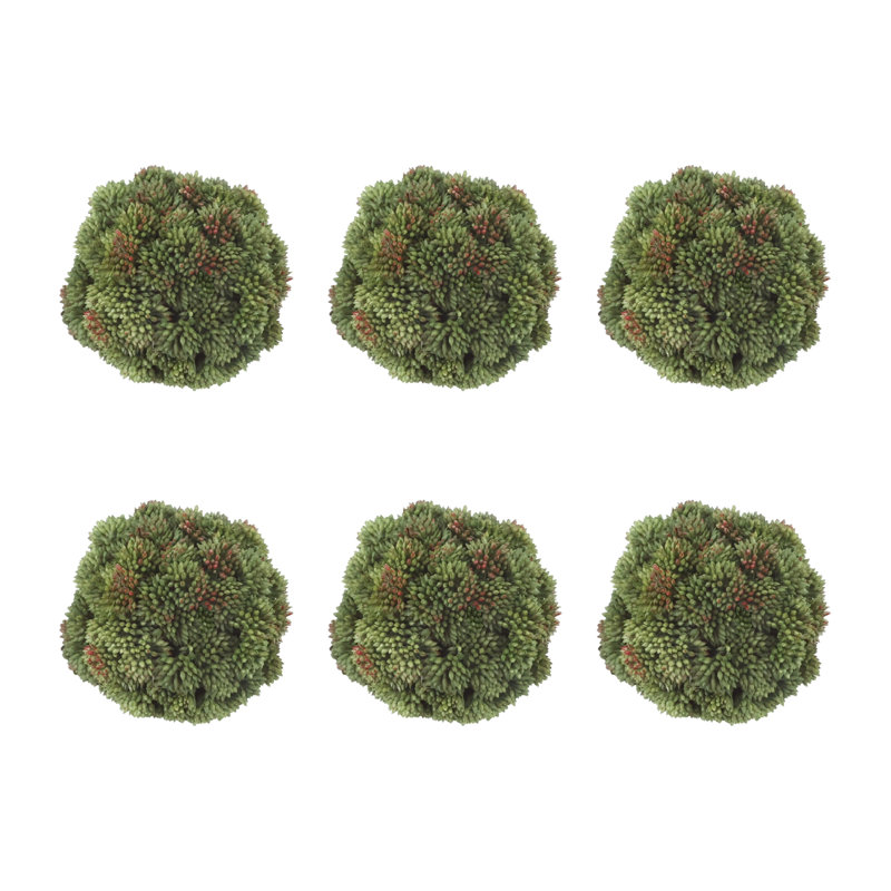 Boules de Sedum décoratives, Vert