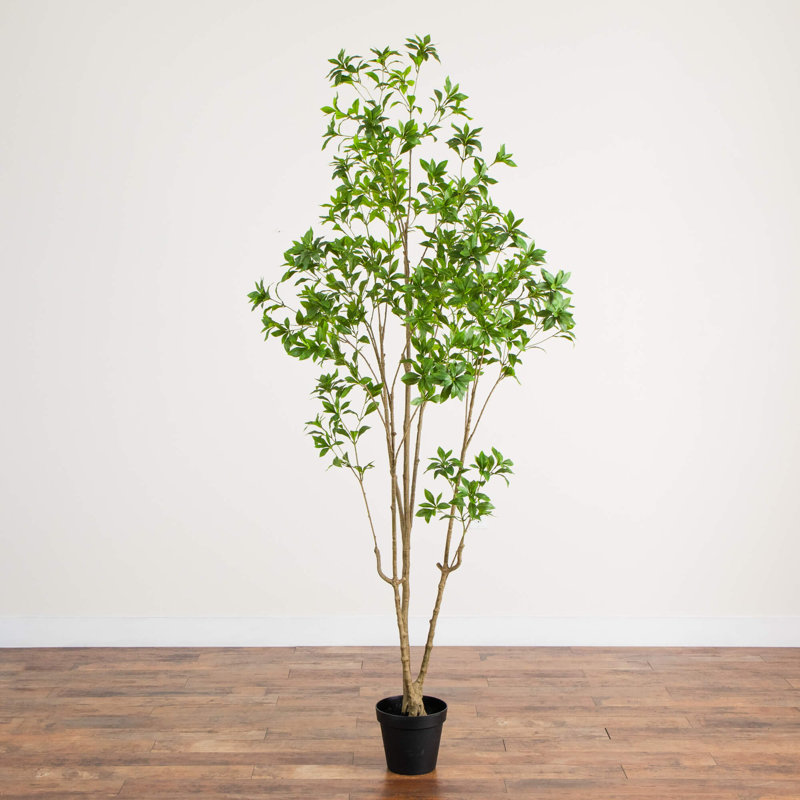 8 pi. Pieris japonais artificiel minimaliste