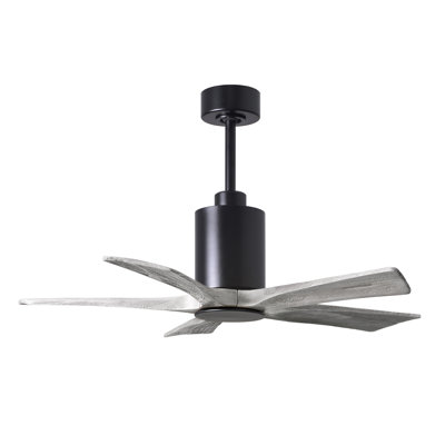 Patricia 42'' Ceiling Fan with LED Lights