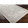 Bogaerts Viscose Oriental Indoor Rug