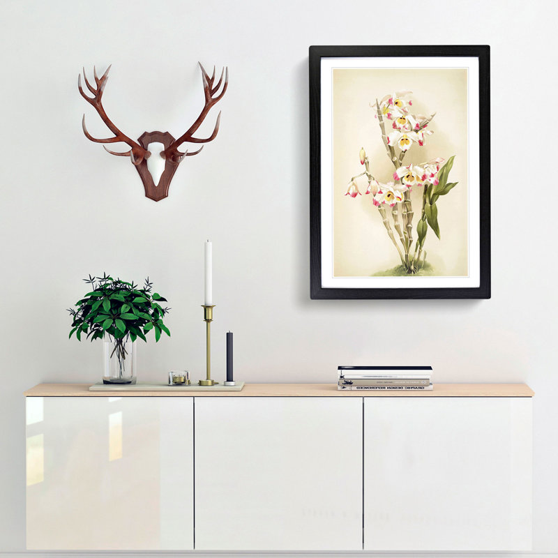 Magnolia Flowers Illustration Tab. 9 by Frederick Sander - Picture Frame Painting Print, 60cm H x 40cm W x 2cm D, Black