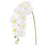 Tige de fleur d'orchidée artificielle-187504800