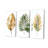 - Plants Wall Art Print Set-1349313922-1349313927