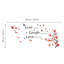 Wall Decal