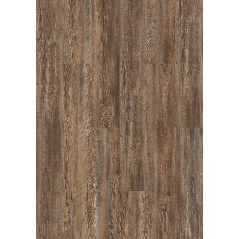 Norwich 7" W x 48" L x 2 MM Glue Down Luxury Vinyl Plank, Canterbury