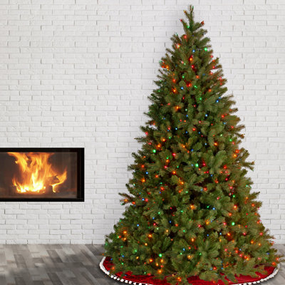 Lighted Christmas Tree