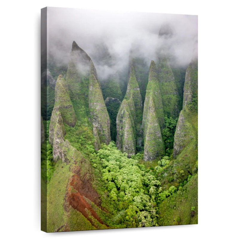 Alvord Na Pali Kauai Rainforest, 24" H x 16" W