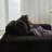 Chaise Lounge Sofa-1751921481