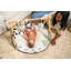 Gymini de développement Tiny Love Luxe