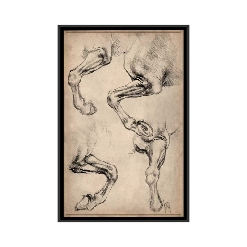 «Leonardo's Horse» par Leonardo Da Vinci - reproduction d'art sur toile, H 26 po x l 18 po x P 1,5 po, Toile avec cadre noir