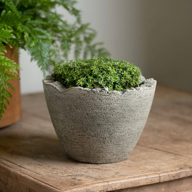 Mini pot à fleurs Broken Egg