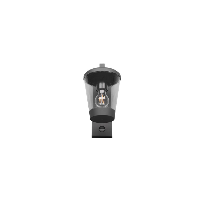 Evelore Outdoor Armed Sconce