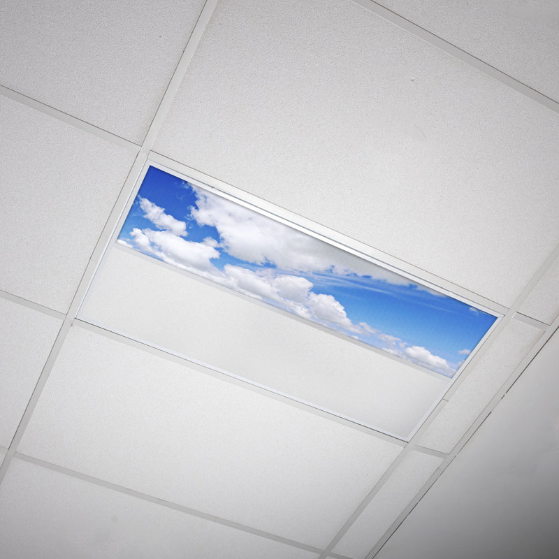 Cloud Rectangle Fixture Component Ceiling Light
