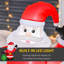 Christmas Decoration