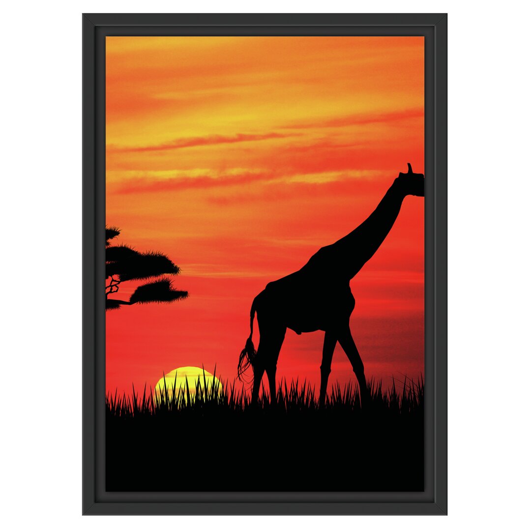 Gerahmtes Wandbild GiraffeSonnenuntergang