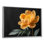 Pivoine moderne moderne monochrome - pivoines murales, salon