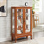 Armoire 2 portes avec portes en verre trempé