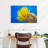Brampt Yellow Feather Starfish-107847537