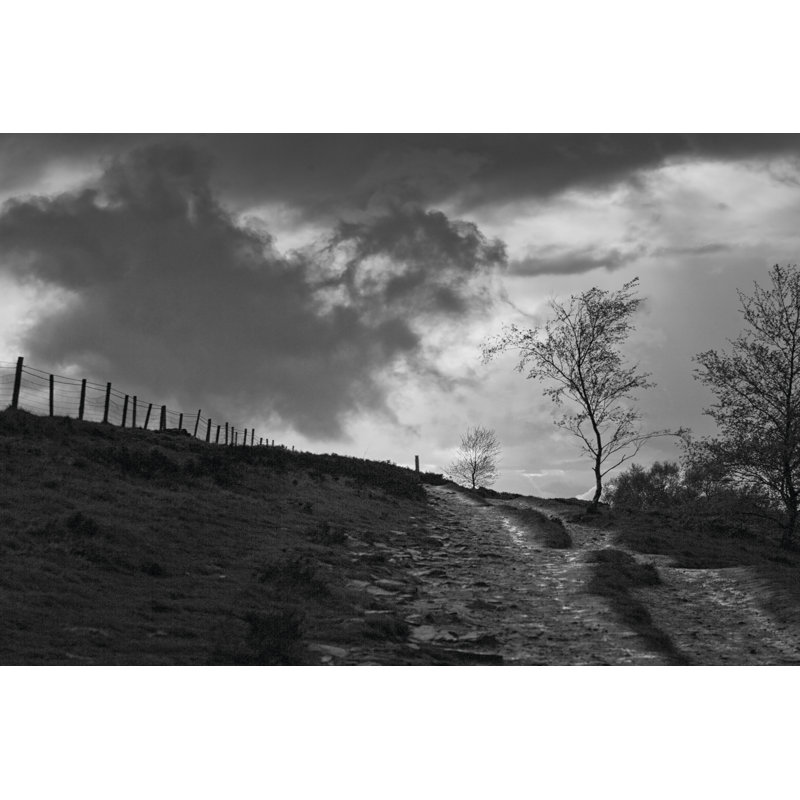 Lonely Path II by Martin Henson - Wrapped Canvas Art Prints, 20cm H x 30cm W