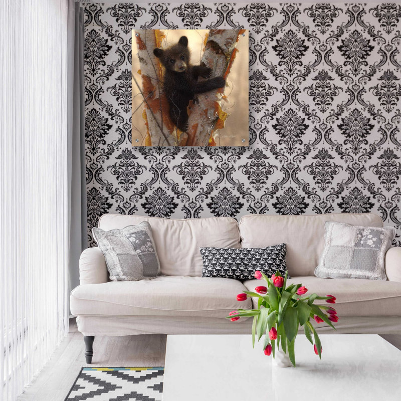 «Curious Cub I» par Collin Bogle, art mural en verre acrylique, H 24 po x l 24 po x P 0,2 po