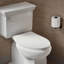Carbyne Quiet-Close Elongated Toilet Seat