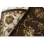 Southwestern Area Rug
