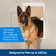 PetSafe® Plastic Pet Door X-Large