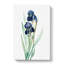 German Iris Flowers by Pierre-Joseph Redoute - Wrapped Canvas-55366294