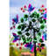 Essoreuse cinétique Nesquehhon Shortwood Wind Butterflies