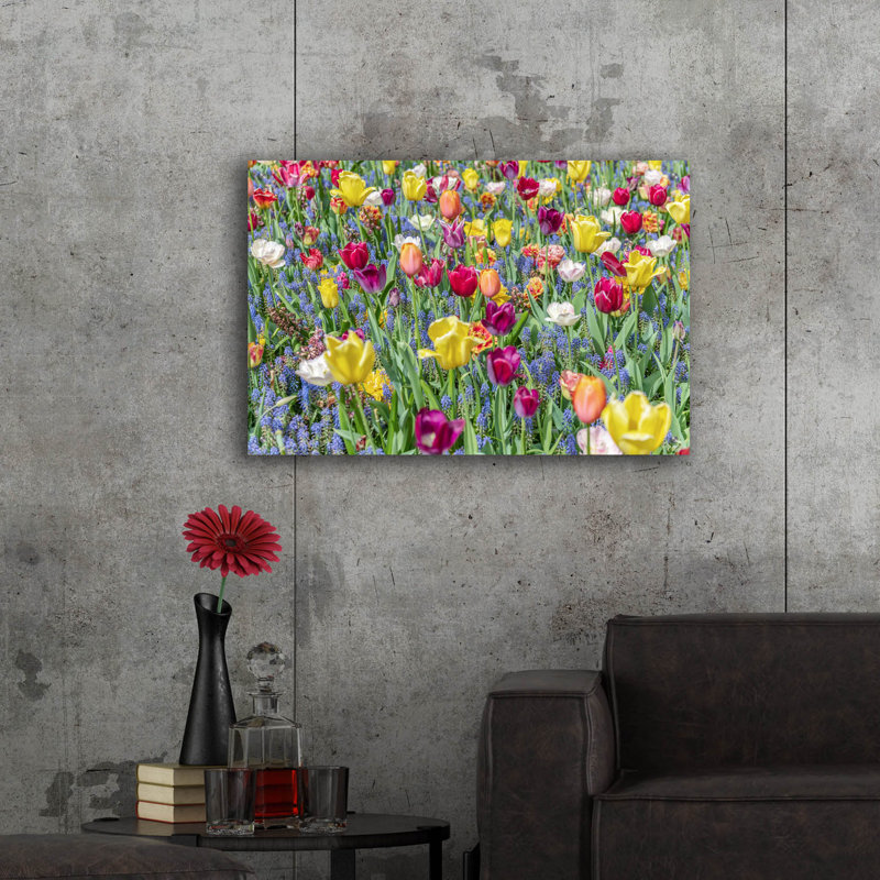 "Tulipes Kuekenhaus I" par Richard Silver, H 24 po x l 36 po x P 0,2 po