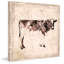 « Cow », reproduction d'art sur toile tendue-1821746795