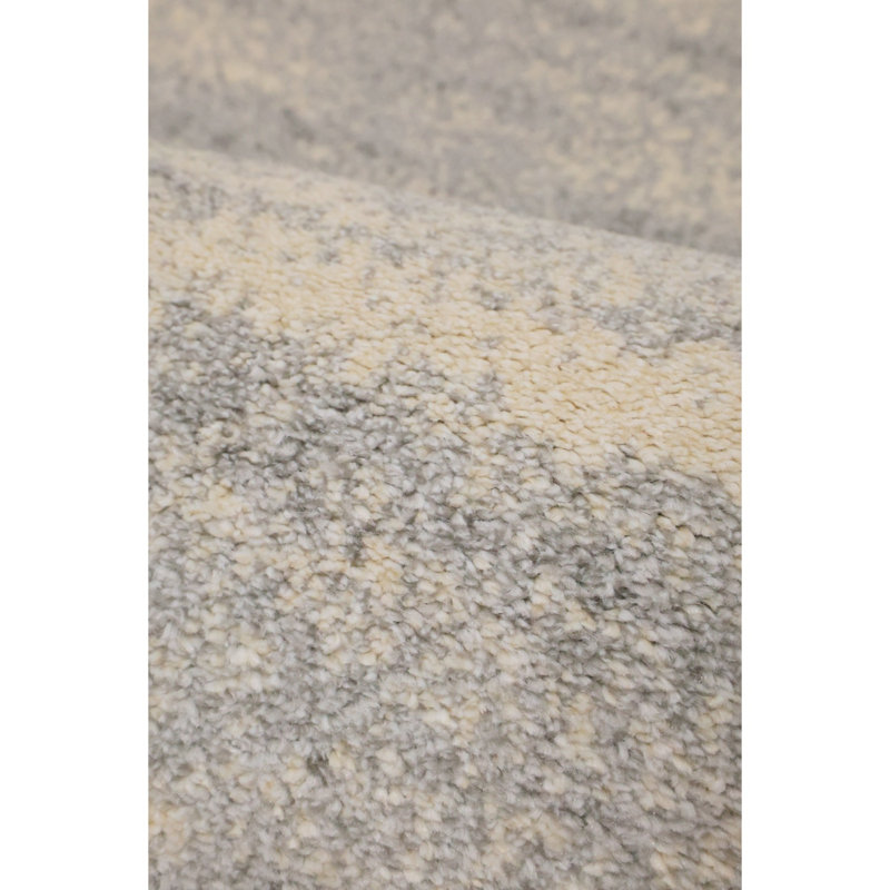 Shianne Oriental Area Rug, Rectangle 120 x 170cm