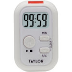 Taylor Flashing Light Timer