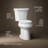 Highline 1.6 GPF Elongated Two-Piece Toilet-10397137-101431919