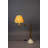 Allis Adjustable Metal Desk Lamp
