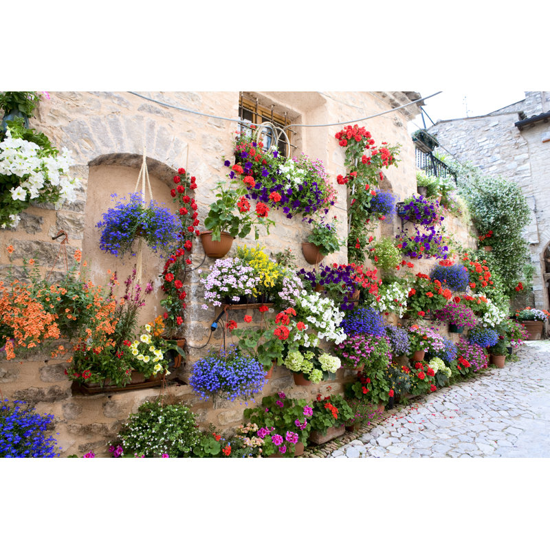 Spello by CaraMaria - Wrapped Canvas Print, 51cm H x 76cm W x 3.8cm D
