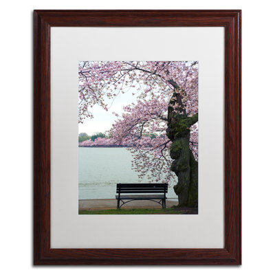 Tranquility, reproduction de photo encadrée