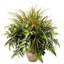 Thisbe 28'' Faux Foliage Plant in Ceramic Pot
