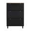 Armoire autoportante à 3 chaussures, noire, tablette réglable, finition grain de bois, 3 crochets, pour entrée, armoire compacte à panneaux de particules avec tiroirs rabattables et entrée noire-260082179