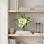 Hydrangea and Orchid Arrangement
