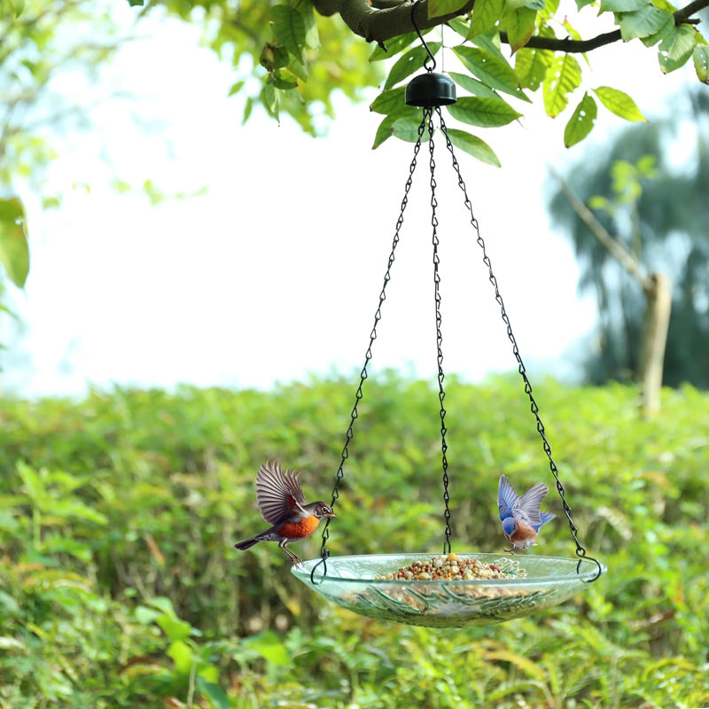 Bellen Glass Hanging Birdbath