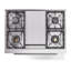 Cuisinière à double combustible 36 ILVE Professional Plus II, 6 brûleurs scellés, plaque chauffante (blanc)-1489543341-1489543338