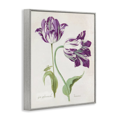 Deux tulipes à fleurs mauves, estampe numérique, design par Jacob Marell
