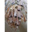 Lustre suspendu en verre à fusion Murano Mazzega-91138221-91138227-130844710