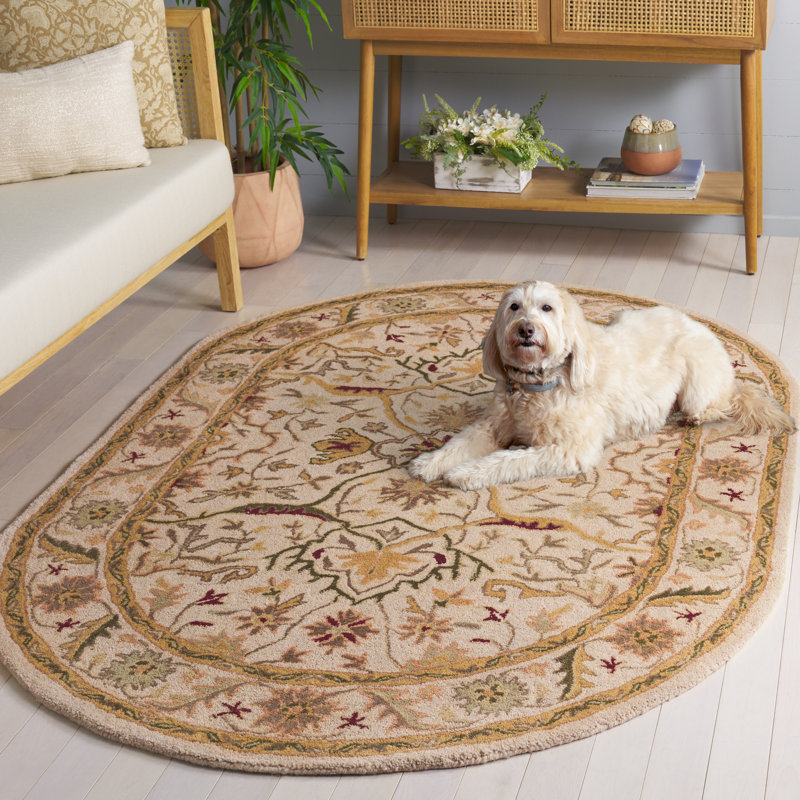 Tapis oriental en laine touffeté à la main Dunbar, Ovale 4 pi 6 po x 6 pi 6 po