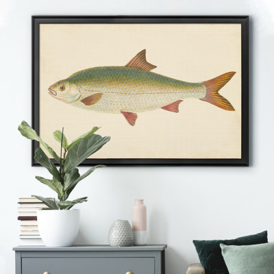 " Donovan Antique Fish II "