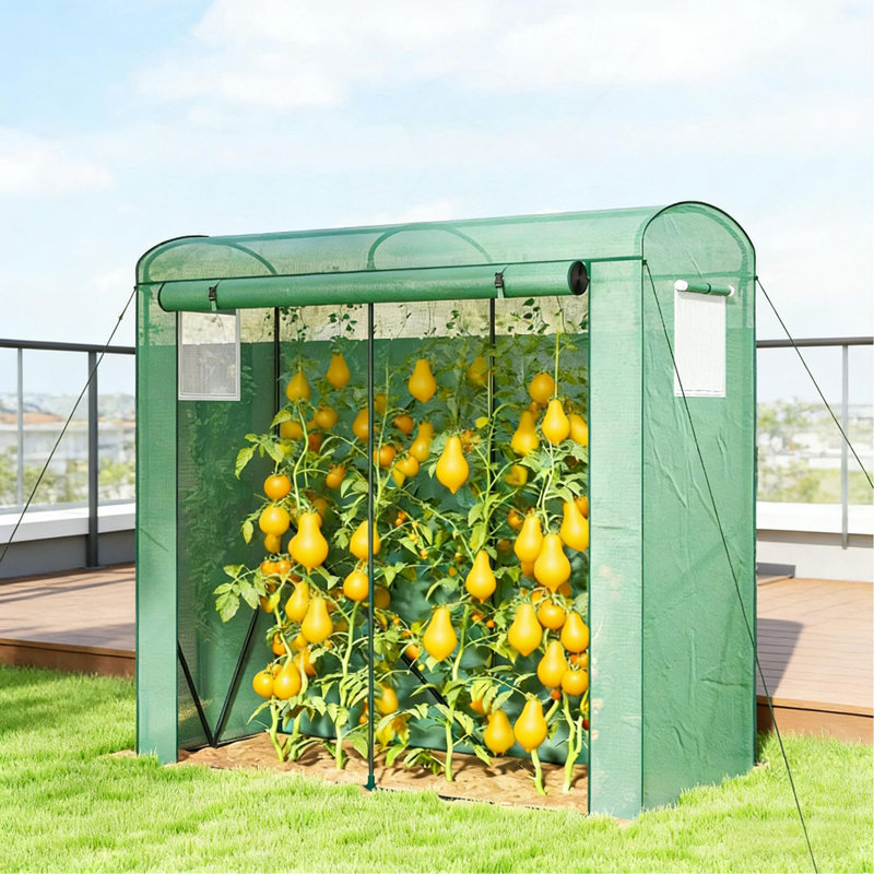 Serre stable, mini serre