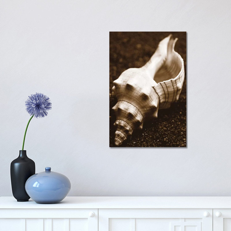 Sea Gallery III by Boyce Watt - Wrapped Canvas Print, 30.48 cm H x 45.72 cm W