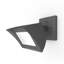 Luminaire mural Endurance ™ Flood-1965790237-1962234531