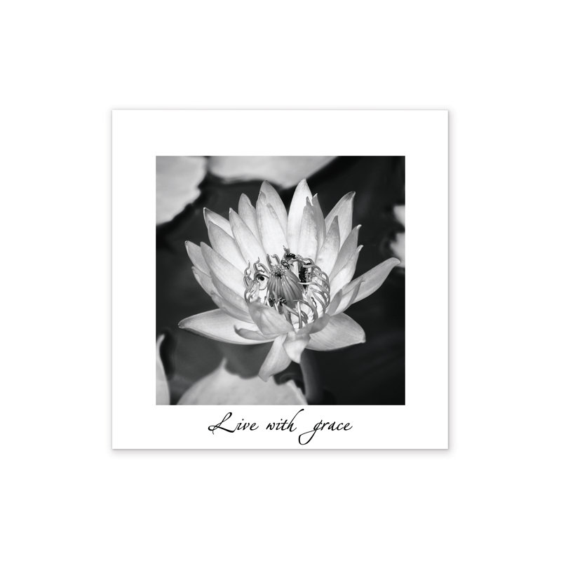Lily Flower Matted - Wrapped Canvas Print, 51cm H x 51cm W x 3.8cm D